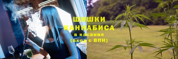 молекула духа Козловка