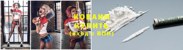 дурь Козельск
