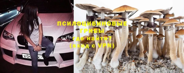 PSILOCYBIN Бородино