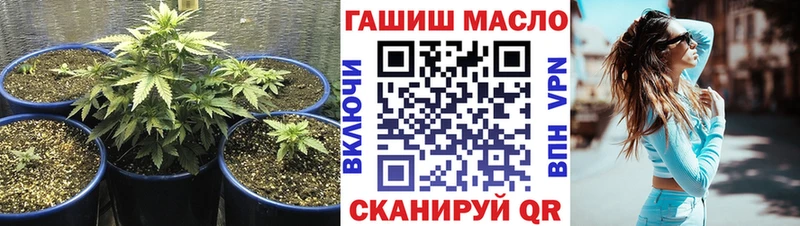как найти закладки  Тобольск  ТГК концентрат 
